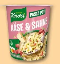 REWE Knorr Pasta Pot Käse & Sahne Angebot
