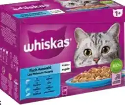 Globus Baumarkt Whiskas Katzennahrung Angebot