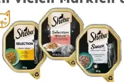 Globus Baumarkt Sheba Katzenfutter Angebot