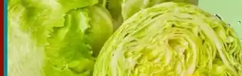 PENNY Eisbergsalat Angebot