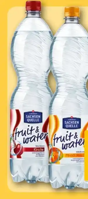 REWE Ileburger Sachsenquelle Fruit & Water Angebot