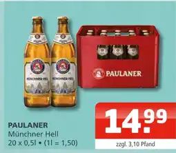 Getränke Oase Paulaner münchner hell Angebot