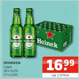 Getränke Oase Heineken lager Angebot