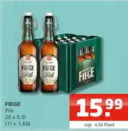 Getränke Oase Fiege pils Angebot