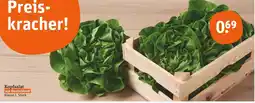 tegut Kopfsalat Angebot
