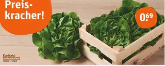 tegut Kopfsalat Angebot