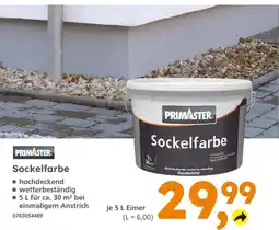 Globus Baumarkt Primaster sockelfarbe Angebot