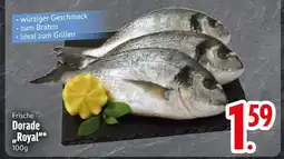 Edeka Frische dorade royal Angebot