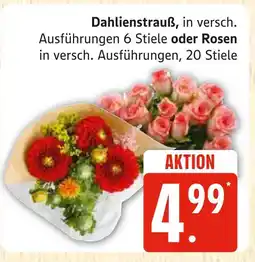 Marktkauf Dahlienstrauß Angebot