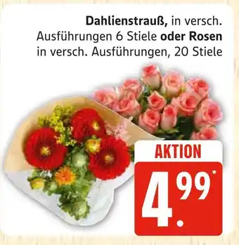 Marktkauf Dahlienstrauß Angebot