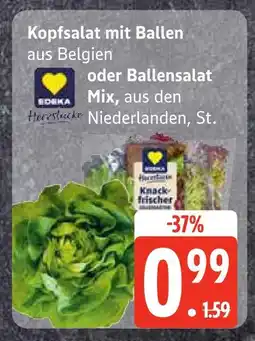 Edeka Edeka kopfsalat mit ballen Angebot