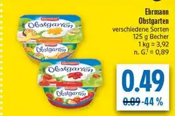 diska Ehrmann obstgarten pfirsich-maracuja Angebot