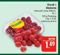 Marktkauf Driscoll's himbeeren Angebot