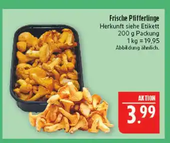 Marktkauf Frische pfifferlinge Angebot