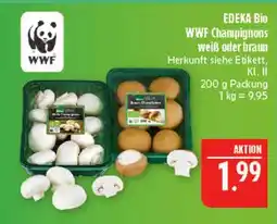 Marktkauf Wwf wwf champignons weiß Angebot