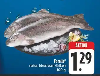 Edeka Forelle Angebot