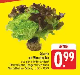 Edeka Salatrio mit wurzelballen Angebot