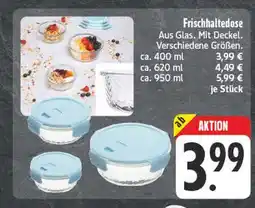 Edeka Frischhaltedose Angebot