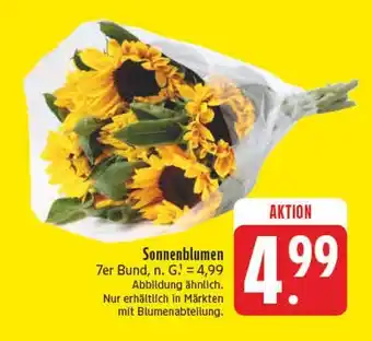 Edeka Sonnenblumen Angebot