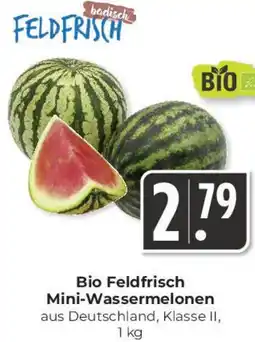 Hieber's Frische Center Bio Feldfrisch Mini-Wassermelonen Angebot