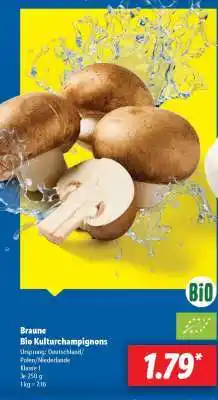 Lidl Braune Bio Kulturchampignons Angebot