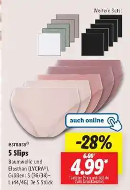 Lidl esmara 5 Slips Angebot