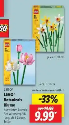 Lidl LEGO Botanicals Blume Angebot
