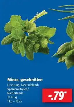 Lidl Minze, geschnitten Angebot