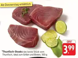 Edeka Thunfisch- Steaks Angebot