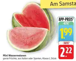 Edeka Mini Wassermelonen Angebot