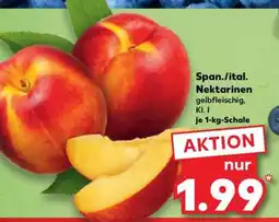 Kaufland Span./ital. Nektarinen Angebot