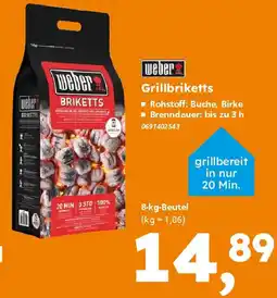 Globus Baumarkt weber Grillbriketts Angebot