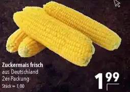 CITTI Markt Zuckermais frisch Angebot