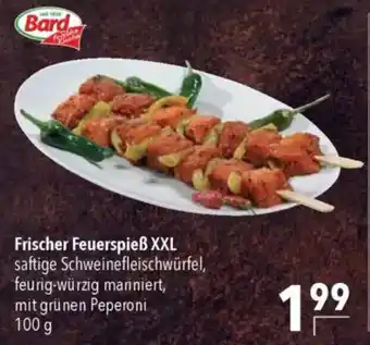 CITTI Markt Bard Frischer Feuerspieß XXL Angebot