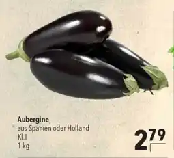 CITTI Markt Aubergine Angebot
