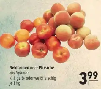 CITTI Markt Nektarinen oder Pfirsiche Angebot