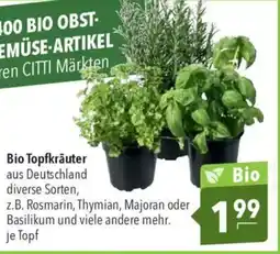 CITTI Markt Bio Topfkräuter Angebot