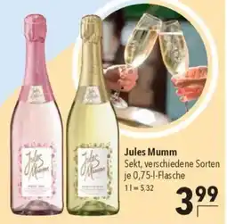 CITTI Markt Jules Mumm Sekt Angebot