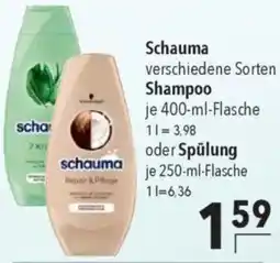 CITTI Markt Schauma Shampoo oder Spülung Angebot