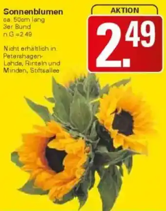 WEZ Sonnenblumen Angebot