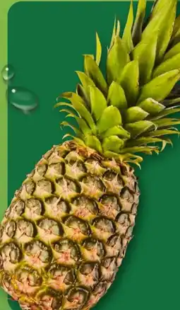 Aldi Nord Ananas Angebot