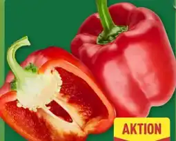 Aldi Nord Paprika Rot Angebot