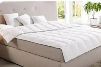 Aldi Nord Ribeco Sommer-Daunendecke Angebot