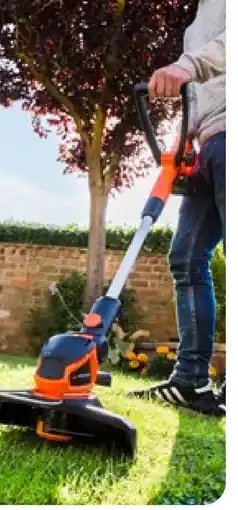 Aldi Nord Yard Force Akku-Trimmer LT C25 Angebot