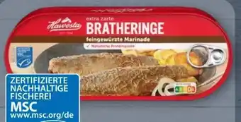 Aldi Nord Hawesta Bratheringe Angebot