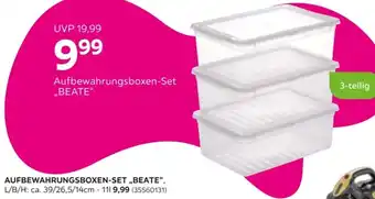 Mömax Aufbewahrungsboxen-Set „BEATE" Angebot