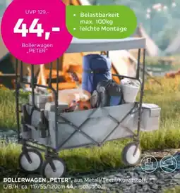 Mömax Bollerwagen „PETER" Angebot