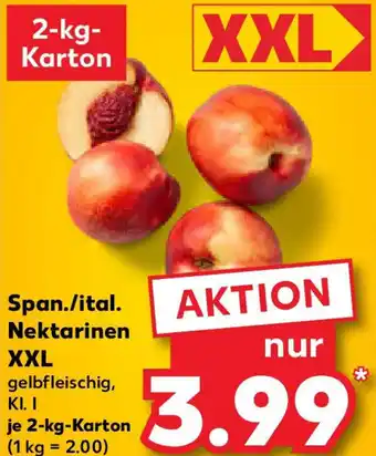 Kaufland Span./ital. Nektarinen XXL Angebot