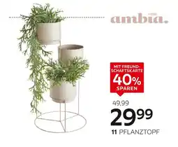 XXXLutz Ambia home pflanztopf Angebot