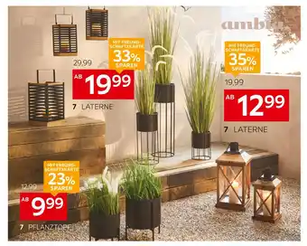 XXXLutz Ambia home pflanztopf oder laterne Angebot
